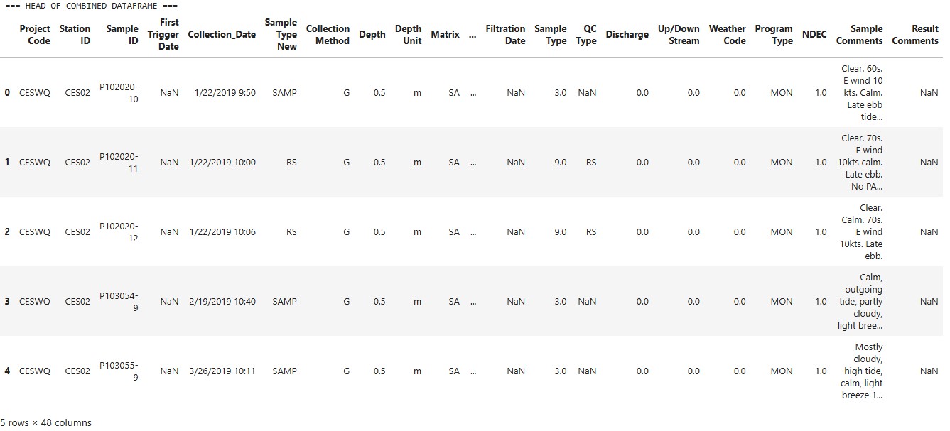 Image of Head of Temp Data Frame